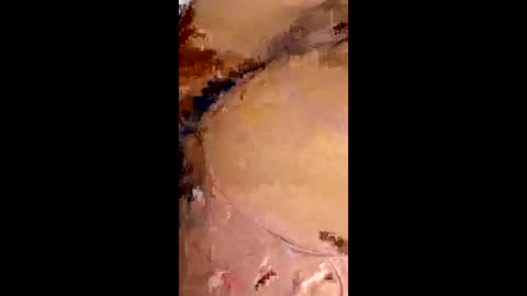 rafagomez102002 online show from 01-18-26, 02:48