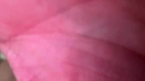 ragerd420 online show from 02-24-26, 11:14