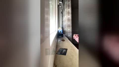 raknar992 online show from 01-06-26, 12:31