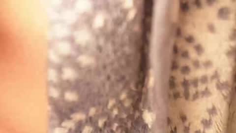 Snapshot of ramichick chatting on 02-17-25, 04:42 Rami online show from 02-17-25, 04:42