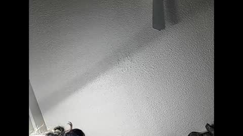 RamonaJ online show from 02-21-25, 04:51