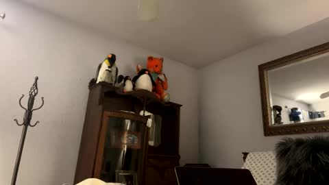 Snapshot of ramonaquinn chatting on 12-04-25, 08:56 RAMONA Q online show from 12-04-25, 08:56