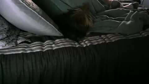 Randy8inbater online show from 01-12-25, 02:52