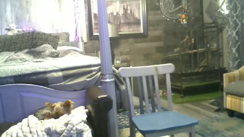 Snapshot of randybater8in chatting on 06-15-26, 02:03 Randy8inbater online show from 06-15-26, 02:03