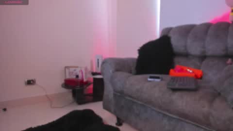   online show from 02-11-26, 12:54