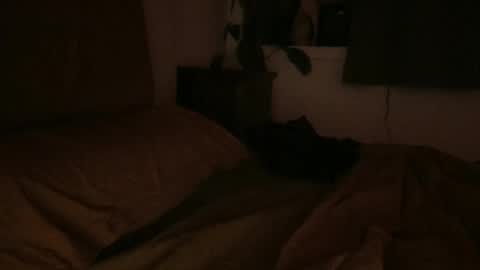 sebas online show from 02-06-25, 06:51