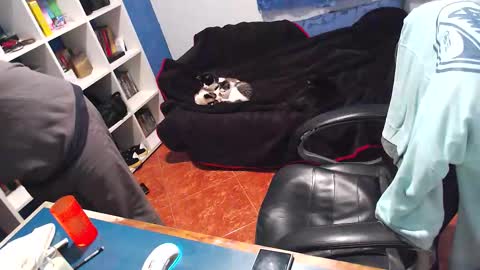 Snapshot of ravingr3d3 chatting on 12-21-25, 12:51 ravingr3d3 online show from 12-21-25, 12:51