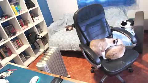 Snapshot of ravingr3d3 chatting on 01-11-26, 03:28 ravingr3d3 online show from 01-11-26, 03:28