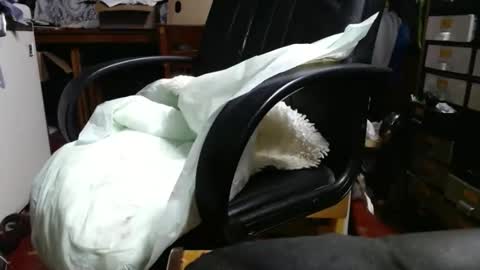 Ray online show from 04-29-26, 11:03