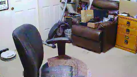 rb69er905364 online show from 03-28-26, 06:40