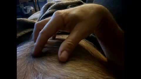 rdt2030 online show from 12-08-24, 07:54