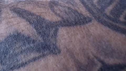 Snapshot of realrubpirate chatting on 01-18-25, 09:02 realrubpirate online show from 01-18-25, 09:02