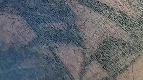 Snapshot of realrubpirate chatting on 09-09-25, 09:31 realrubpirate online show from 09-09-25, 09:31