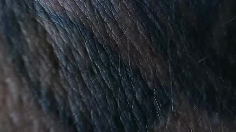 Snapshot of realrubpirate chatting on 09-26-25, 08:51 realrubpirate online show from 09-26-25, 08:51