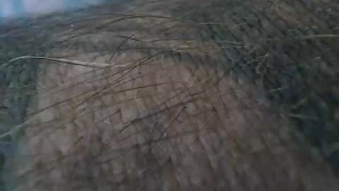 Snapshot of realrubpirate chatting on 10-19-25, 09:21 realrubpirate online show from 10-19-25, 09:21