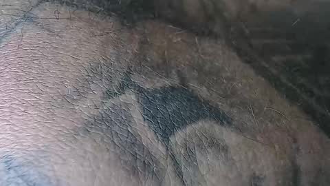 Snapshot of realrubpirate chatting on 11-02-25, 06:38 realrubpirate online show from 11-02-25, 06:38