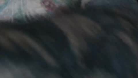 realrubpirate online show from 01-18-26, 09:46