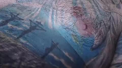 realrubpirate online show from 02-15-26, 09:08