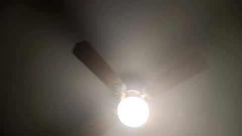 red24devils online show from 02-14-25, 04:26