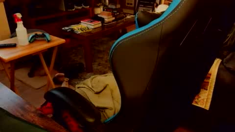 red_sea_bear online show from 04-19-26, 04:23