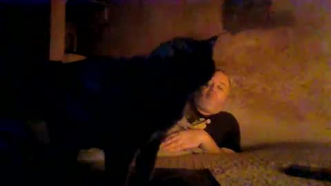 reddragon1195 online show from 04-04-26, 04:55