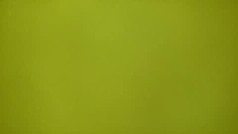 Redplume online show from 02-12-26, 11:16