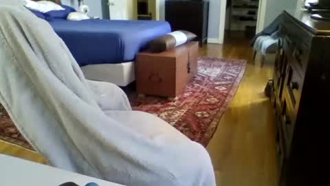 Snapshot of regularguynola chatting on 01-24-25, 06:14 RegularGuyNOLA online show from 01-24-25, 06:14