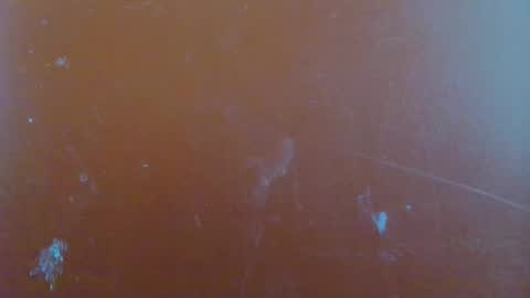 paola online show from 01-29-25, 06:22