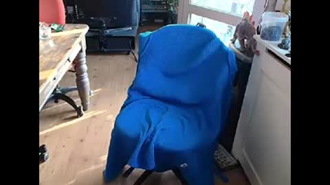 relaxyio online show from 03-10-25, 07:42