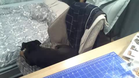 reunionussr online show from 11-16-25, 04:45