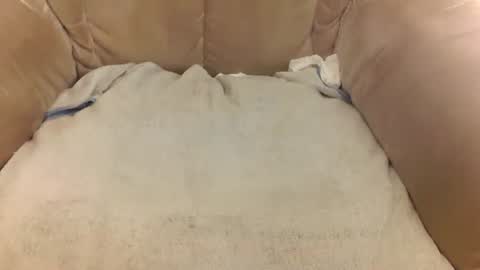 Mark online show from 03-22-26, 08:07