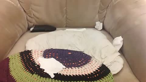 Mark online show from 04-11-26, 07:45