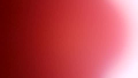 Snapshot of rhino69xx chatting on 12-08-24, 06:54 rhino69xx online show from 12-08-24, 06:54