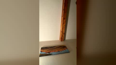 Snapshot of rhinodickasaurus chatting on 12-17-25, 07:58 RhinoDickasaurus online show from 12-17-25, 07:58