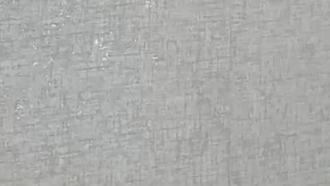 ricardogonzalez666 online show from 12-28-24, 05:55