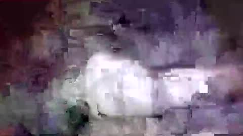 Snapshot of richard11268869 chatting on 12-24-24, 10:06 richard11268869 online show from 12-24-24, 10:06