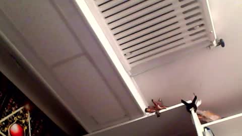 RICK DAYDREAM online show from 03-16-26, 08:35