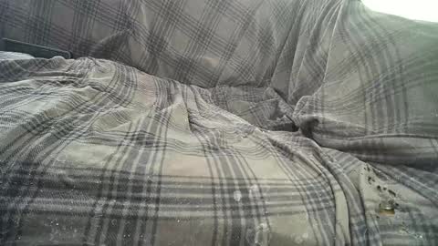 Easy if yun are good see my pics online show from 02-22-25, 06:19