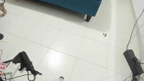 Snapshot of rihanna_hotx chatting on 11-12-25, 02:56 Rihanna hotx online show from 11-12-25, 02:56