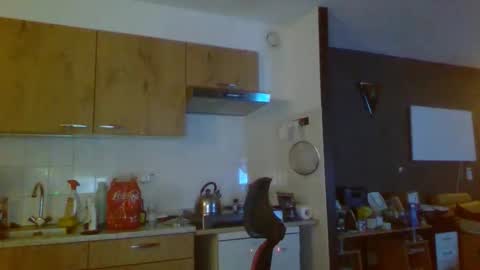 rikkerd55 online show from 01-05-26, 05:27