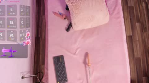 Snapshot of riley_reid_19 chatting on 12-22-24, 06:28 kamila online show from 12-22-24, 06:28