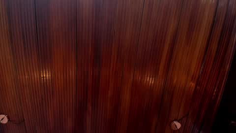 Snapshot of riley_reid_19 chatting on 12-24-24, 02:12 kamila online show from 12-24-24, 02:12