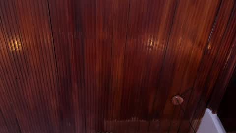 Snapshot of riley_reid_19 chatting on 01-10-25, 02:13 kamila online show from 01-10-25, 02:13