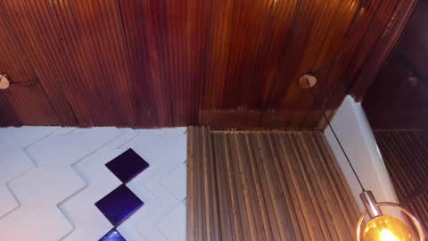 Snapshot of riley_reid_19 chatting on 01-31-25, 02:17 kamila online show from 01-31-25, 02:17