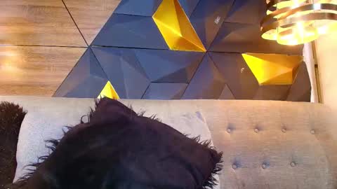 Snapshot of riley_reid_19 chatting on 09-17-25, 07:04 kamila online show from 09-17-25, 07:04