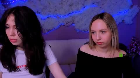 Meow online show from 03-24-26, 08:36