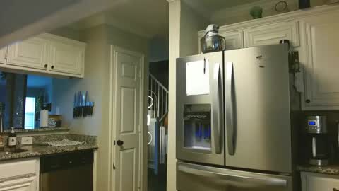 riley depp online show from 02-14-25, 10:04