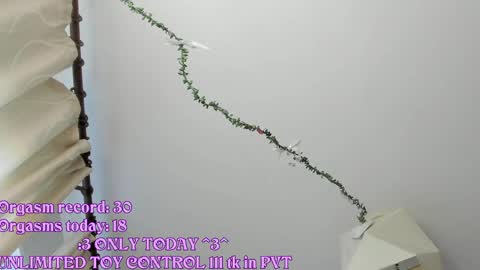 Snapshot of rileynymph chatting on 05-21-26, 03:24 My name is Riley Like my broadcast pls 3 online show from 05-21-26, 03:24