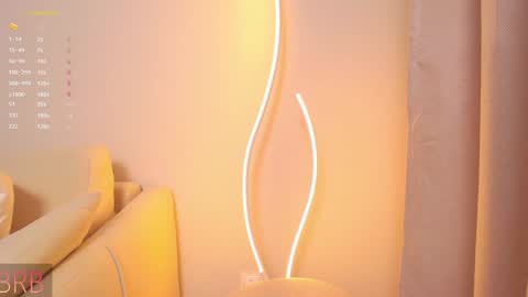 Snapshot of rinassecret chatting on 12-08-24, 05:29 Rina online show from 12-08-24, 05:29