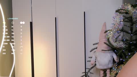 Snapshot of rinassecret chatting on 12-25-24, 08:29 Rina online show from 12-25-24, 08:29